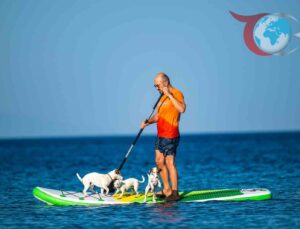 Sahildeki Sevimli Dostlar: Paddle Board Üzerinde Eğlence