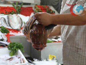 Samsun’da Balık Sezonu Başladı: Tezgahlar Şenlendi