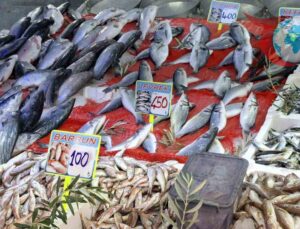 Samsun’daki Balık Sezonu Umut Vaat Ediyor: Hamsi Bolluğu Bekleniyor