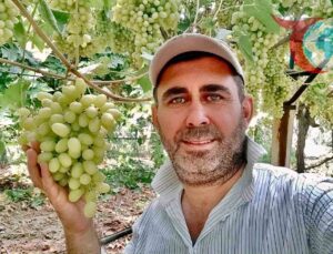 Sarıgöllü Üzüm Üreticisi Emin Çepel’in Başarısı: Avrupa Sofralarını Süsleyen Üzümler