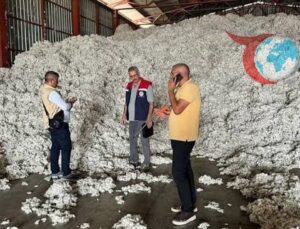 Söke Ovası’nda Pamuk Kalitesini Koruma Hamlesi: 2025 Hasat Sezonu İçin Yeni Tedbirler Açıklandı