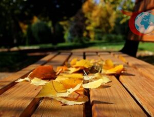 Sonbaharda Metabolizmanızı Canlandıracak Uzman Önerileri