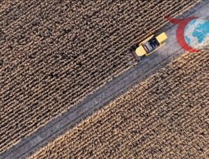 Tarım-GFE Endeksi Temmuz Ayında Yükselişini Sürdürdü
