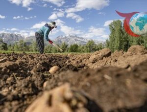 Tarımsal Destek Ödemeleri Hesaplara Aktarılıyor: Çiftçilere Büyük Destek