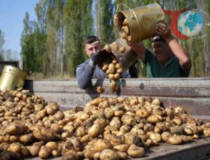 Temmuz Ayında Tarımsal Girdi Fiyatlarında Önemli Artışlar Yaşandı