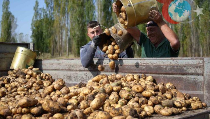 Temmuz Ayında Tarımsal Girdi Fiyatlarında Önemli Artışlar Yaşandı