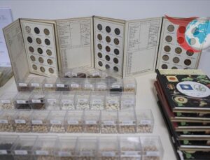 Türkiye’de Bitki Genetiği ve Tohum Zenginliği: Geleceğe Açılan Kapı