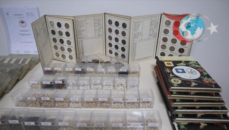 Türkiye’de Bitki Genetiği ve Tohum Zenginliği: Geleceğe Açılan Kapı