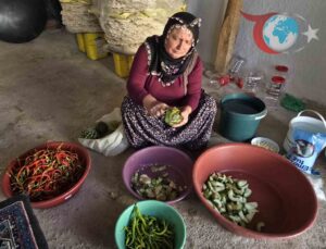 Yozgat Alcı Köyünde Sonbahar Hazırlıkları: Geleneksel Lezzet Yolculuğu
