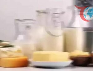 Ağustos 2025’te Kümes Hayvancılığı ve Süt Üretiminde Dikkat Çeken Değişiklikler