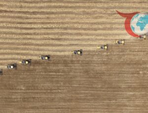 Ağustos Ayında Tarım-GFE’de Dikkat Çekici Artışlar