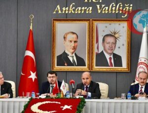 Ankara’da Sahipsiz Sokak Hayvanları İçin Yeni Eylem Planı