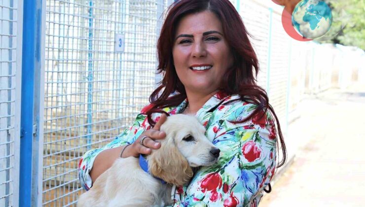 Aydın Sokak Hayvanları İçin Dev Proje: Can Dostları Yaşam Alanı