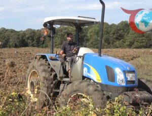 Bafra Ovası’nda Kışlık Sebze Ekimi Başladı