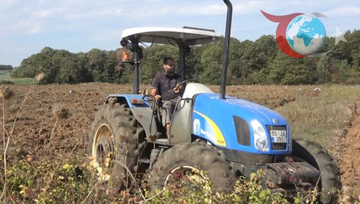 Bafra Ovası’nda Kışlık Sebze Ekimi Başladı