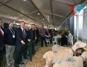 Balıkesir Tarım ve Hayvancılık Fuarı: Bölge Tarımına Yeni Bir Soluk