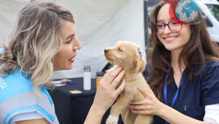 Bursa’da Yuvalandırma Şenliği: Can Dostları Yeni Evlerini Buldu