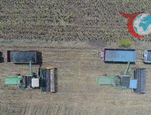 Çiftçilere 2,8 Milyar Liralık Destek Ödemesi Yapıldı