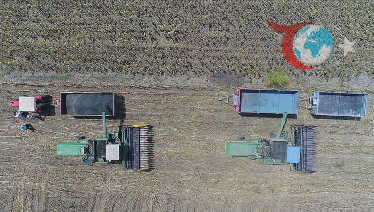 Çiftçilere 2,8 Milyar Liralık Destek Ödemesi Yapıldı