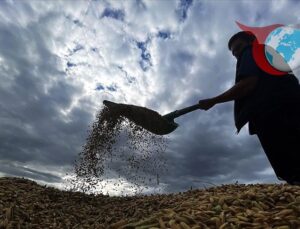 Çiftçilere 471 Milyon Liralık Tarımsal Destek Ödemesi Yapılıyor