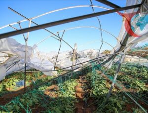 Devlet Destekli Tarım Sigortası: Üreticiye 3,15 Milyar Lira Destek