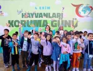 Didim Belediyesi’nden Çevre Dostu Etkinlik: Dünya Hayvanları Koruma Günü