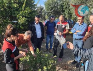 Didim ve Kuşadası Üreticileri Sakız Ağacı Eğitimi İçin Çeşme’de