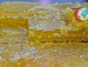 Doğu Karadeniz’den Almanya’ya Bal İhracatında Büyük Artış