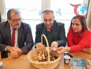 Düzce Üniversitesi’nden Mantarların Gizemli Dünyasına Yolculuk