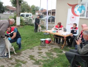 Düzce’de 13 Bin Evcil Hayvan Dijital Kimliklendirildi