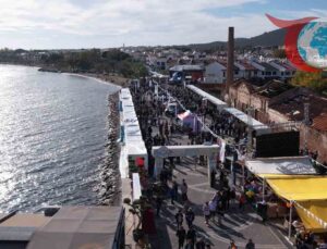 Edremit Zeytinyağı Tadım Festivali: FestOlive Edremit Coşkusu