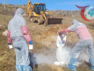 Gümüşhane’de Şarbon Şüphesi: 6 Köye Hayvan Girişi Yasaklandı