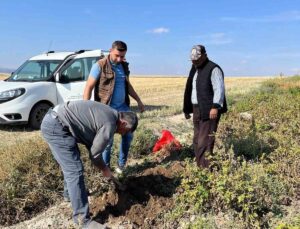 İhsaniye’de Patates Hasadı Öncesi Yoğun Kontroller Başladı