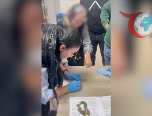 İstanbul’da Organize Dilencilik: Zabıtanın Dikkatli Takibi