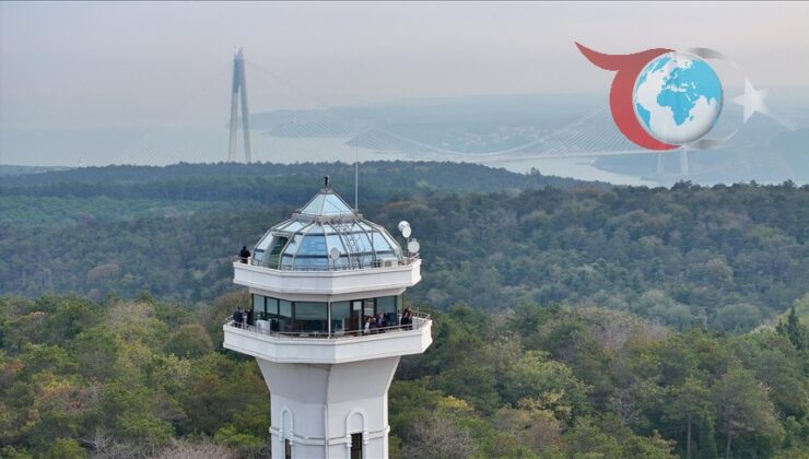 İstanbul’da Orman Yangınlarıyla Mücadelede İnovatif Yaklaşımlar