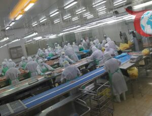 Japonya’da Kuş Gribi Alarmı: Hokkaido’da Kriz Büyüyor