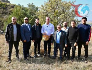 Karacabey Alıç Meyvesini Dünya Pazarlarına Taşıyor