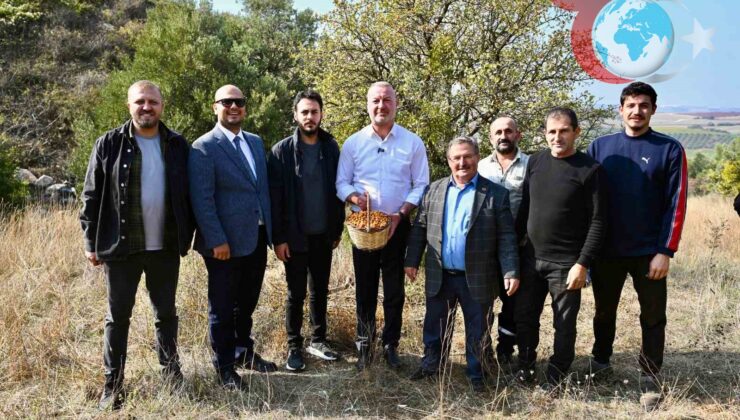 Karacabey Alıç Meyvesini Dünya Pazarlarına Taşıyor