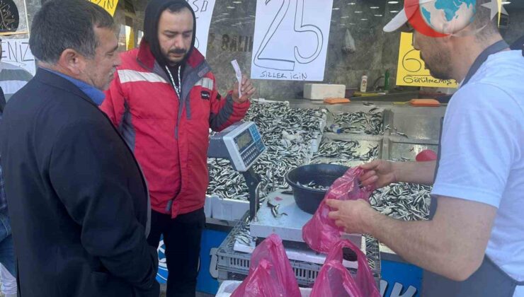Karadeniz’de Hamsi Bolluğu: Fatsa’da Uygun Fiyatlar Yüzleri Güldürüyor