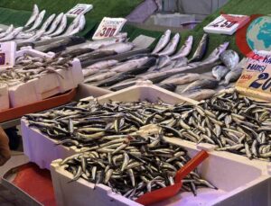 Karadeniz’in Gözdesi Hamsi Tezgahlarda Palamudu Geride Bıraktı