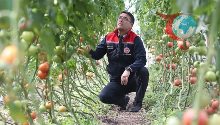 Kars’ın Soğuk İkliminde Seracılık Başarı Hikayesi