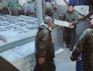 Kastamonu Açıklarında Rekor Hamsi Avı!