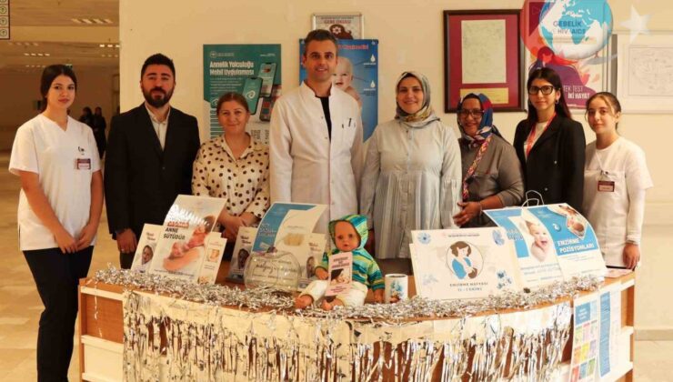 Konya Beyşehir’de Anne Sütü Farkındalığı Etkinlikleri