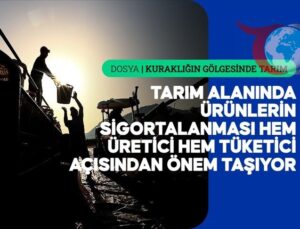 Kuraklık ve Doğal Afetlerin Etkileri: Tarım Sigortalarının Önemi