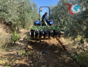 Manisa Alaşehir’de Bereketli Yağışlar Çiftçinin Yüzünü Güldürdü