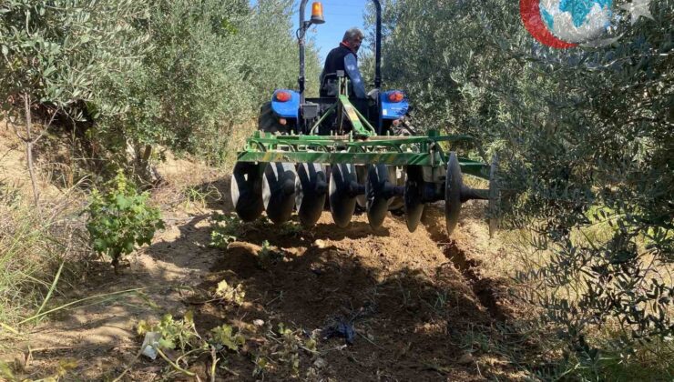 Manisa Alaşehir’de Bereketli Yağışlar Çiftçinin Yüzünü Güldürdü
