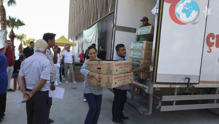 Mersin Büyükşehir Belediyesi’nden Üreticilere Çifte Destek: Hıyar Fidesi ve Güneş Paneli