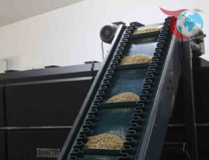 Muğla Belediyesi’nden Örnek Proje: Sokak Hayvanlarına Mama Desteği