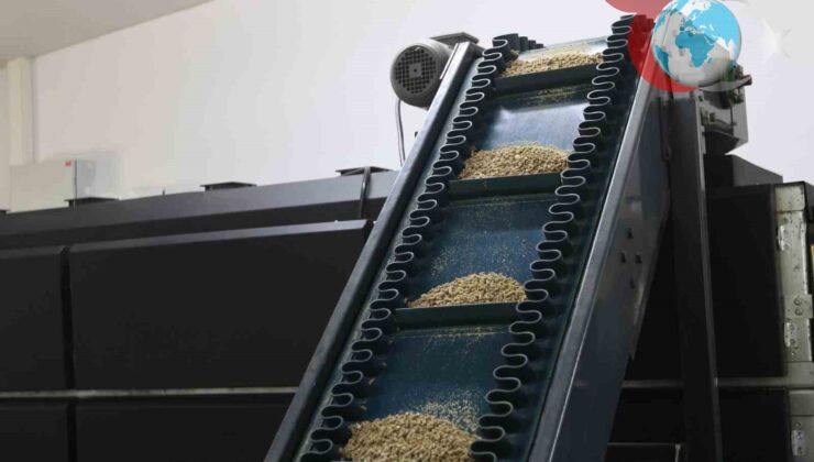 Muğla Belediyesi’nden Örnek Proje: Sokak Hayvanlarına Mama Desteği