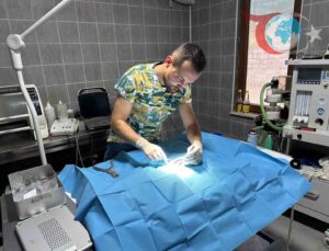 Osmaneli’de Duyarlı Vatandaşların İhbarıyla Kurtarılan Kedi Sağlığına Kavuştu